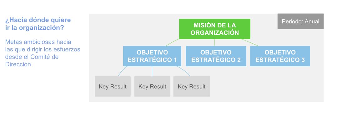 Hacia dónde quiere ir la organización