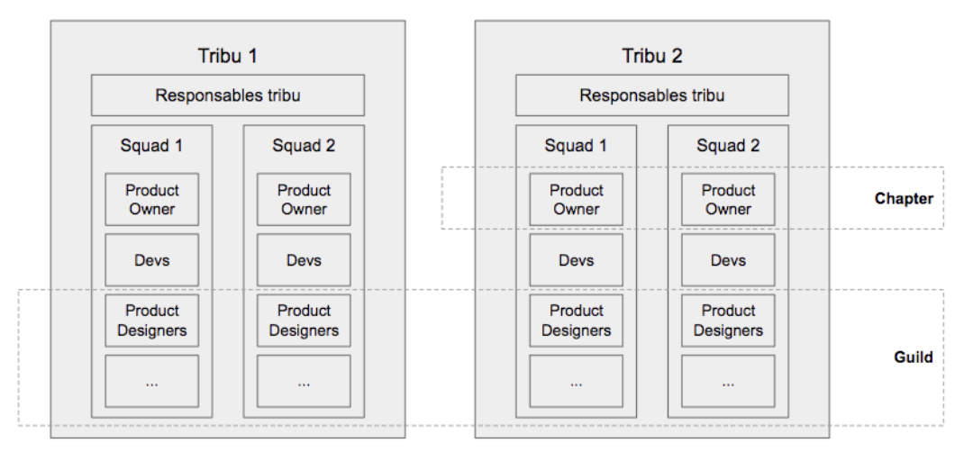 Organización dividida verticalmente