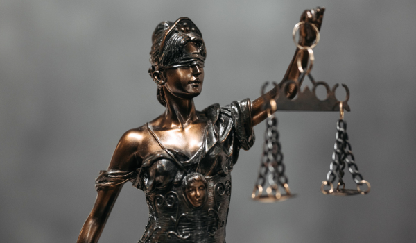 organización de producto